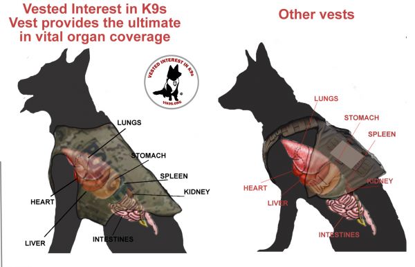The K9 Vest: Protecting Man's Best Friend | Bulletproof Zone